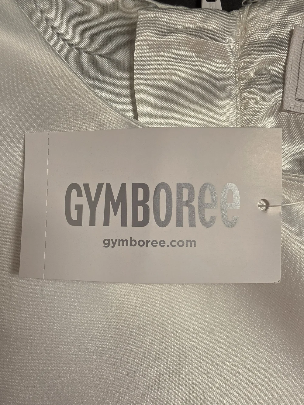 Gymboree White Satin & Tulle Dress with Waist Bow